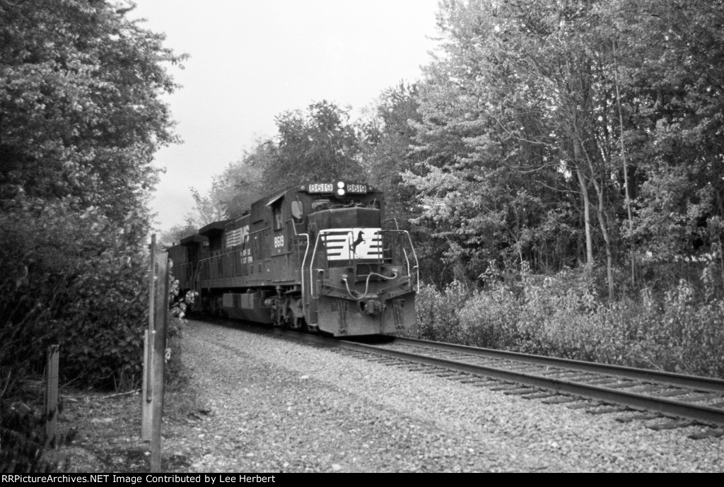 NS 8619